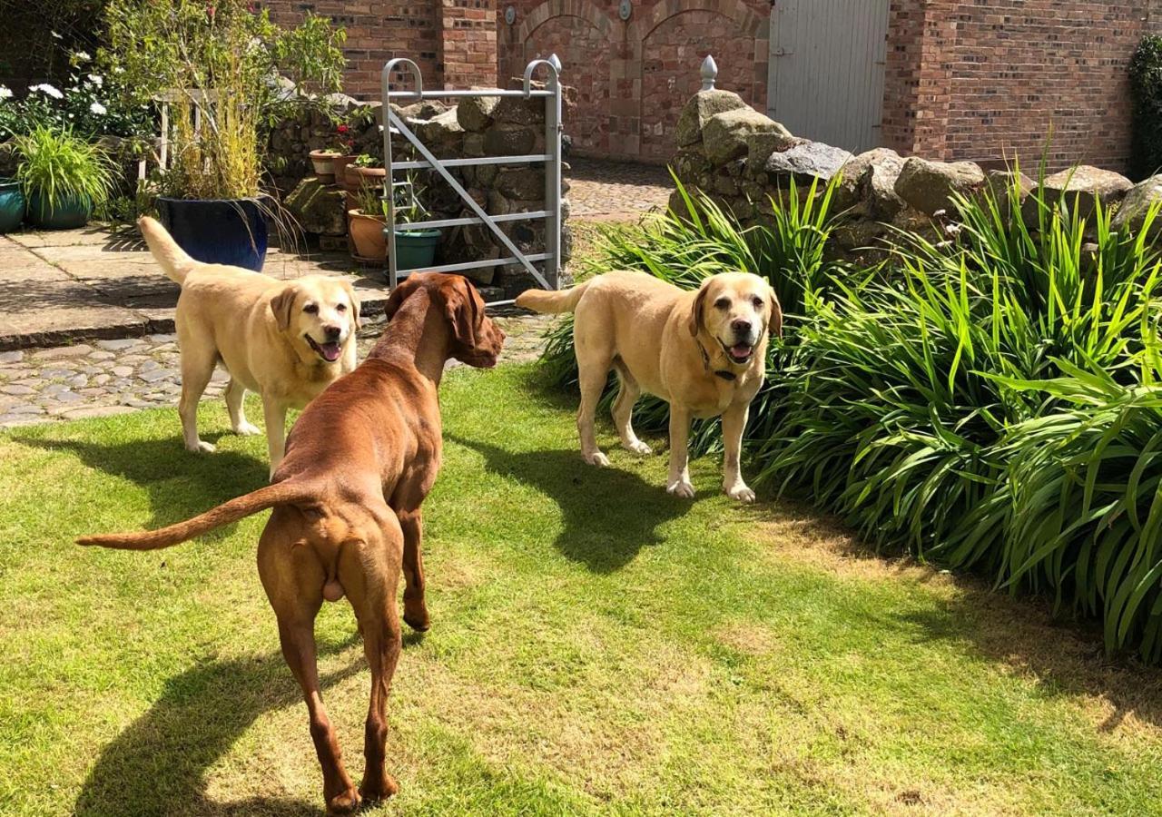 Stable Yard Cottage Greenlaw ภายนอก รูปภาพ